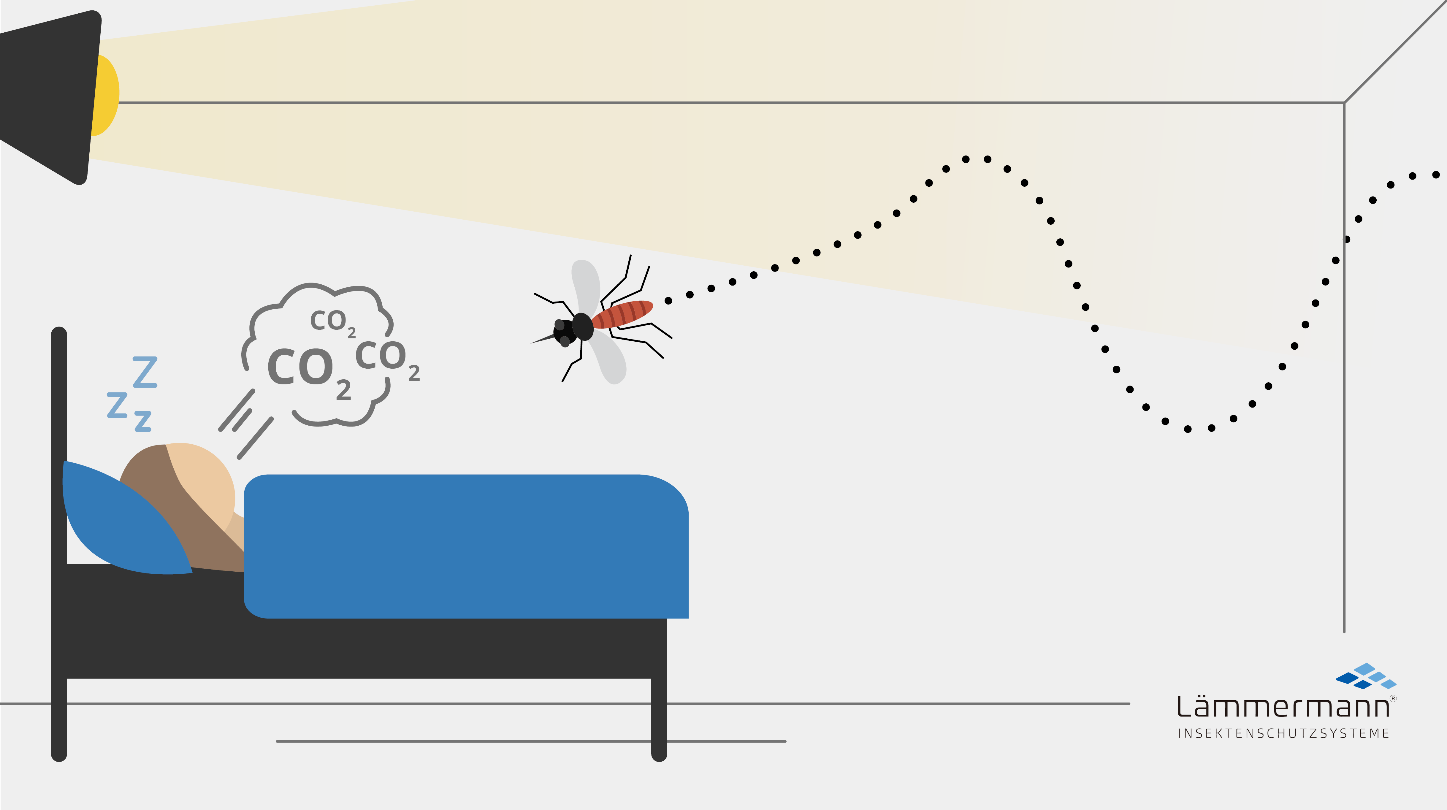 Werden Mücken von Licht angezogen? Insekten & Licht - Lämmermann  Insektenschutz