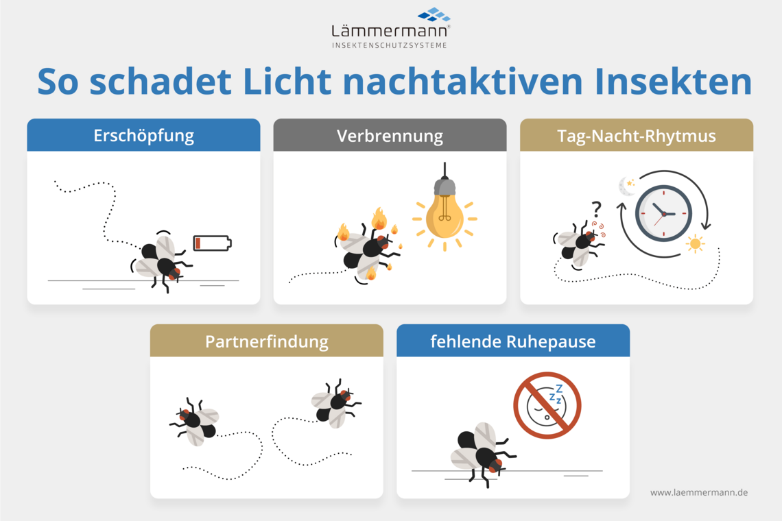 Insektenschutz