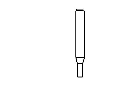Fräser D3,3 x 10
